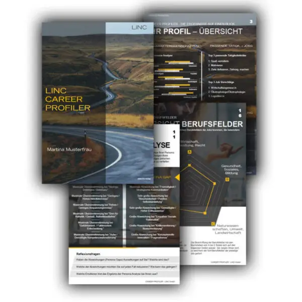 Führungkräfte Coaching mit dem Linc CAREER PROFILER