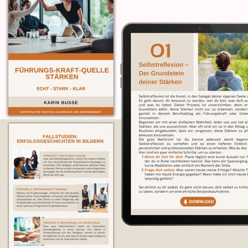 ebook mit dem Titel Führungs-Kraft-Quelle - Stärken